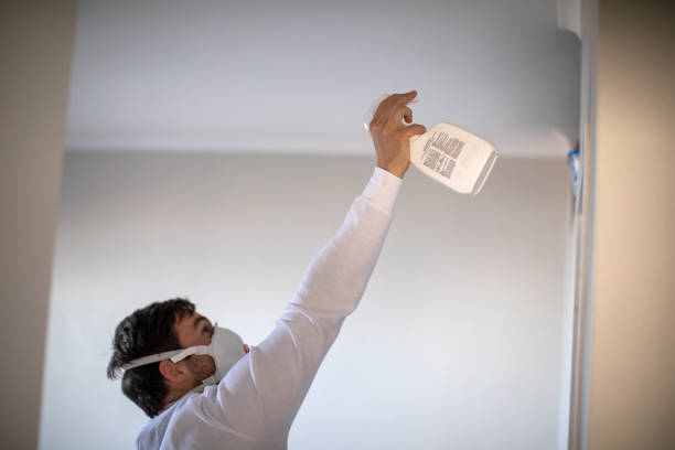 Best Post-Flood Mold Remediation in Greenhills, OH