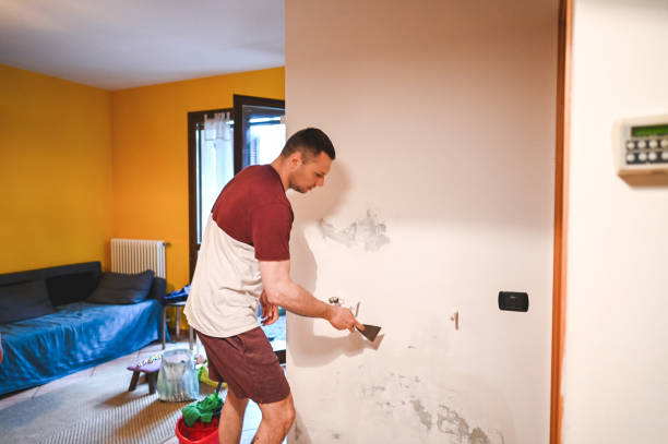 Trusted Greenhills, OH Mold Remediation Experts
