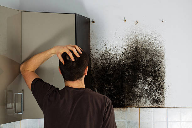 Best Bathroom Mold Remediation in Greenhills, OH